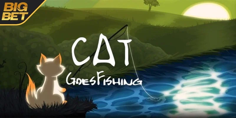 Đôi nét về mèo câu cá 