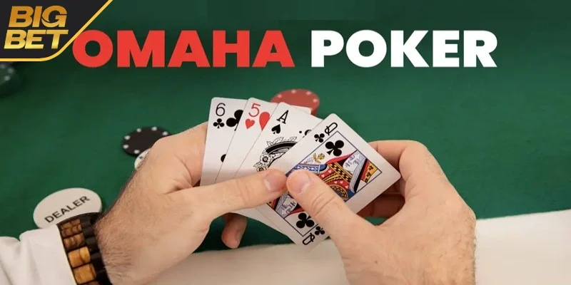 Tham khảo luật chơi cơ bản 