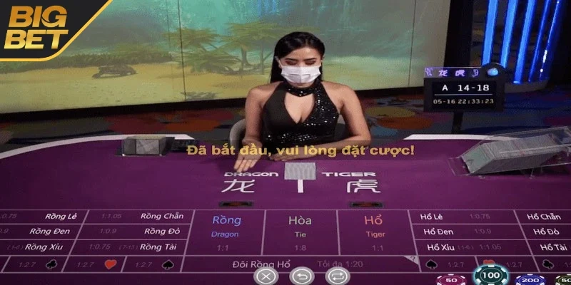 Tham khảo bí quyết dễ chiến thắng