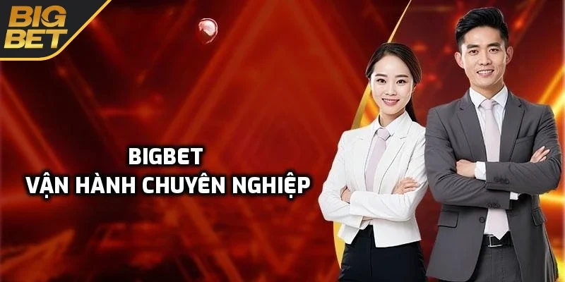 Về chúng tôi – vận hành chuyên nghiệp